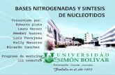 Bases nitrogenada, conceptos generales de biologia molecular