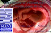 Crecimiento ,forma del feto y fisiologia fetal