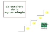 Agroecologia ppt
