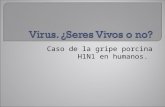 Virus, vih e influenza h1 n1