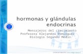 Hormonas y glándulas endocrinas