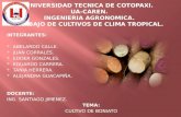 Exposicion cultivos de clima tropical