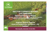 Proyectos Navarra: FEDEGAN: Oportunidades y Retos del Sector Cárnico Colombiano