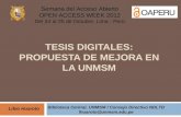 Tesis digitales: propuesta de mejora en la UNMSM