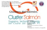 Clusters Salmon