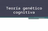 Teoría genético cognitiva