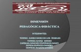 Dimension pedagogica didactica