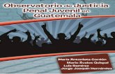 Observatorio de Justicia Penal Juvenil en Guatemala