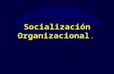 Socialización organizacional