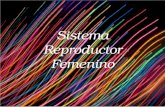 Presentacion de Sistema reproductor femenino