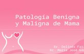 Patología benigna y maligna de mama (1)