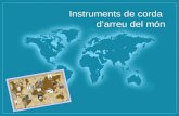 INSTRUMENTS DE CORDA D'ARREU DEL MÓN // 2014-2015