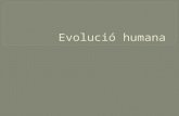 Evoluci³ humana2