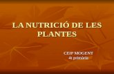 La Nutrició De Les Plantes