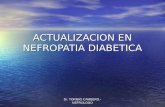 Actualizacion en nefropatia diabetica actualizado