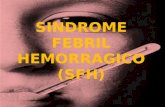 Sindrome febril hemorragico (sfh)