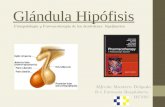 Farmacologia glándula hipófisis (Dipiro). Alfredo Montero Delgado