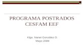 Programa de Postrados CESFAM EEF