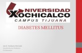 Fisiopatologia en Diabetes Mellitus tipo 1