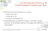 Actividad Física y Enfermedades Cardiovasculares