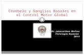 Cerebelo y Ganglios Basales en el control motor, Fisiología de Guyton Dr Johnnathan Molina