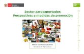 MINAG - Perspectivas y promoción del sector agro 2012