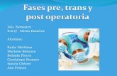 Fases pre-trans-post operatorio