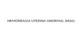 Expo hemorragia uterina anormal (hua)