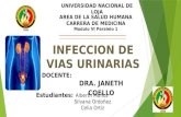 Infeccion de vias urinarias (UVI)