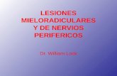 8. lesiones mieloradiculares y de nervios perifericos