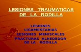 12 a-trauma-rodila-partes-blandas-1228067063022943-9