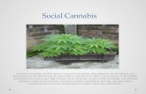 Social cannabis