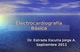 Fisiologia electrocardiografia normal (ecg)