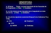 12. .hemostasia