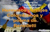 El Yerno del Gobernador del Estado Bolivar - Paisajes colombianos