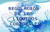 Fisiologia Regulacion de los liquidos Corporales