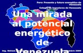 Una Mirada Al Potencial Energetico De Venezuela (Foro Civ)