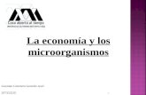 Economia y microorganismos
