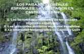 Tema 6. Los paisajes vegetales españoles. La vegetación en Castilla y León.