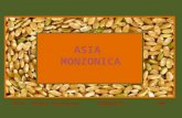 Asia Monzonica