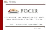 Expansion de la_produccion_de_flores_y_hortalizas_con_competitividad