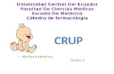 Crup (caso clínico)