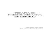 (2014-03-24)TERAPIA PRESION NEGATIVA(DOC)