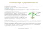 Tema2-Morfología externa de Hoja - Hipertextos de Botánica Morfológica