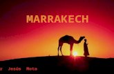 Marrakech y su gran contraste de colores