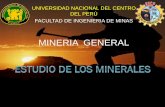Tema 04 mg-estudio minerales