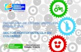 Programa de Transformación Productiva Sector Hortofrutícola en Colombia