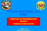 Policia nacional del peru felix