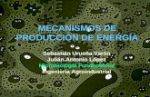 Mecanismos de producción de energía