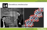 Ud.14. genética molecular